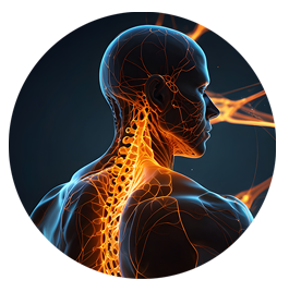 Nerve Regeneration