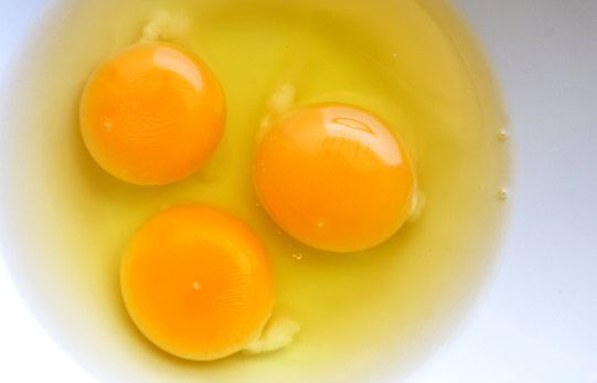 Egg Yolks